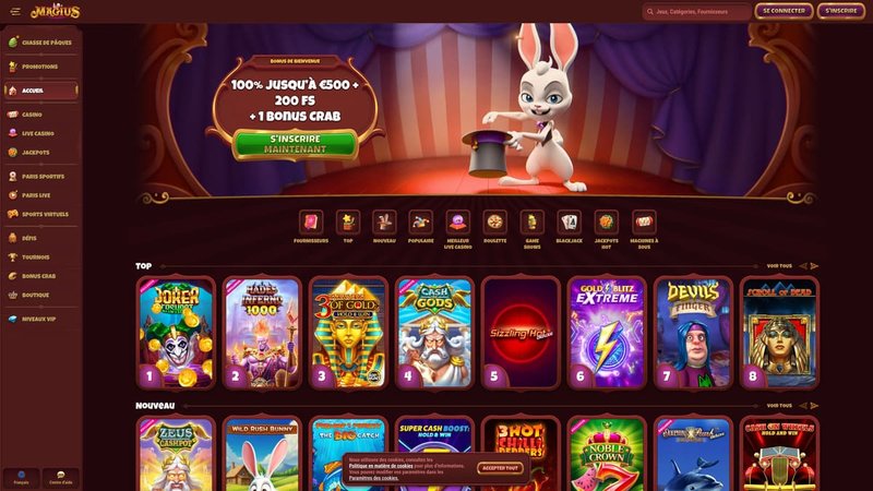 Les tendances en ligne des jeux de stratégie pour les adolescents en France Les tendances en ligne des jeux de stratégie pour les adolescents en France